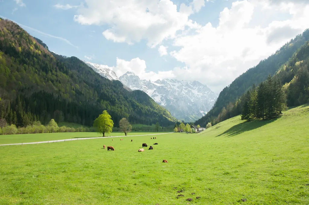 Logarska dolina, upper Savinja valley, near Hotel Grof