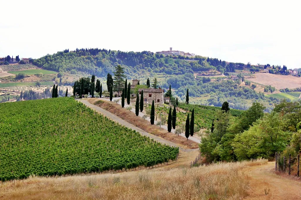 The Chianti hills, near Hotel Le Fontanelle