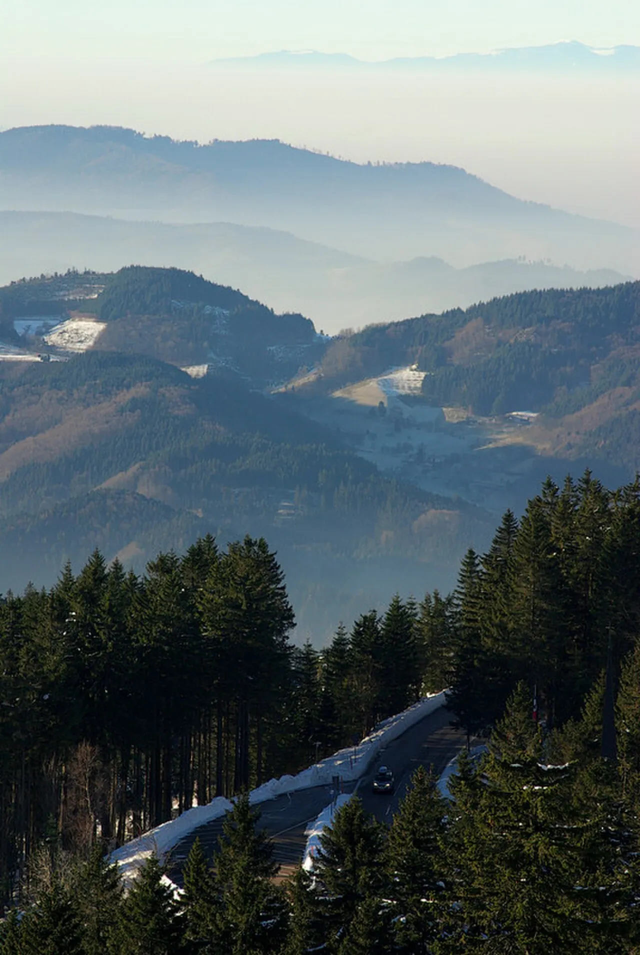 B500 Black Forest High Road, Black Forest